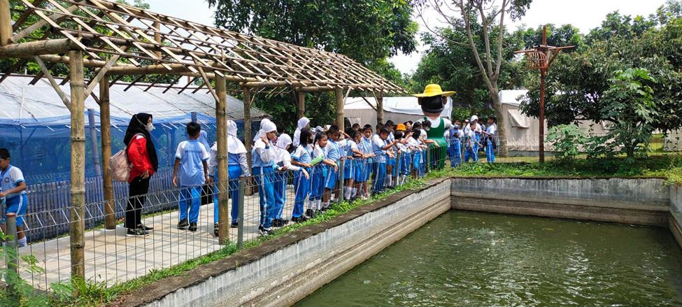 KEGIATAN TENGAH SEMESTER DI KEBUN PAK BUDI KEGIATAN TENGAH SEMESTER DI KEBUN PAK BUDI