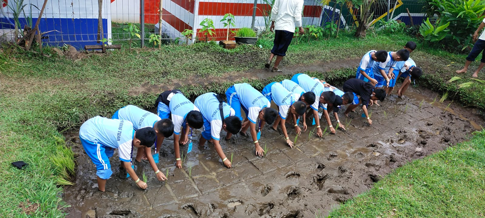 KEGIATAN TENGAH SEMESTER DI KEBUN PAK BUDI KEGIATAN TENGAH SEMESTER DI KEBUN PAK BUDI
